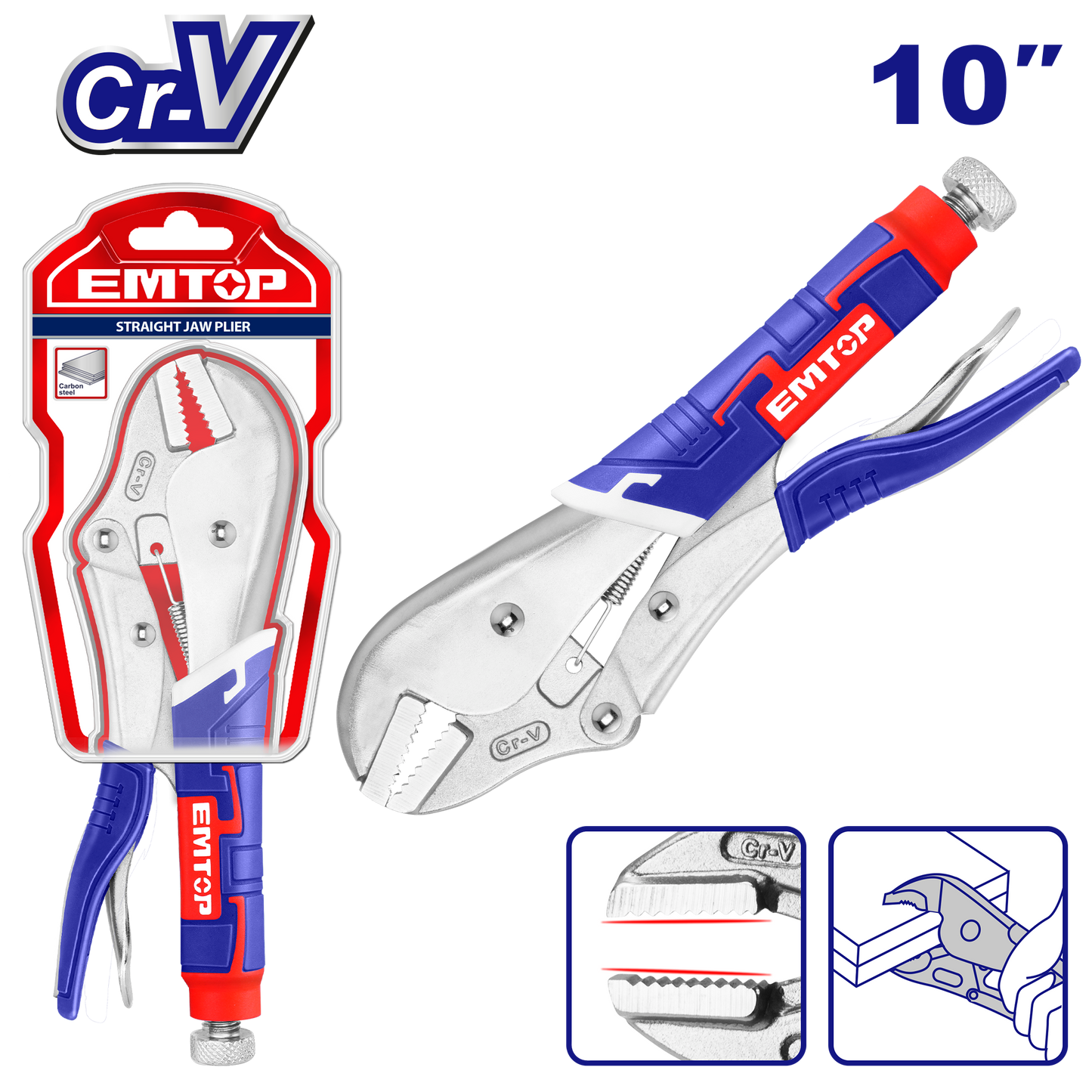 Düz çənəli kəlbətİn