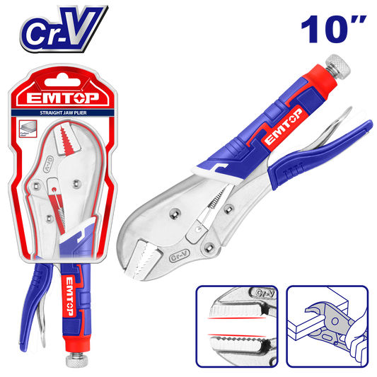 Düz çənəli kəlbətİn