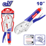 Düz çənəli kəlbətİn